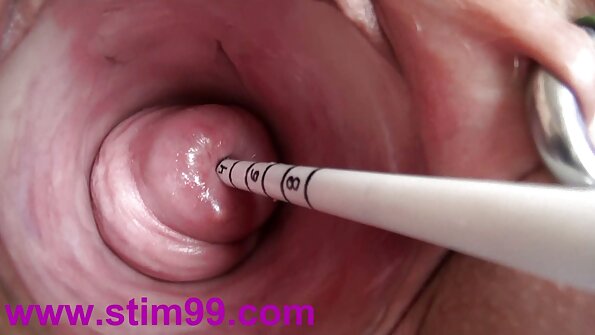 Ariel ing kaose sikil ungu nggodha ing kursi