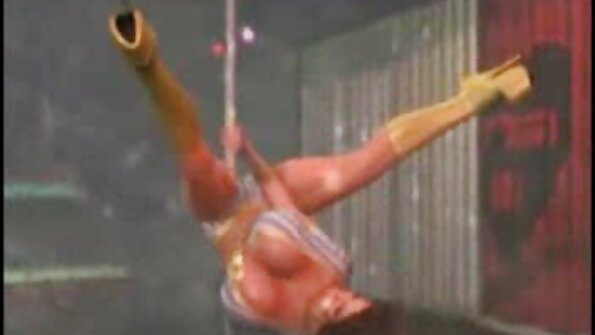 Saka bokong kanggo pus kanggo tutuk