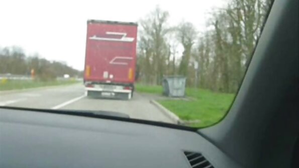 Sarah McDonald ngudani saka lingerie print kewan dheweke